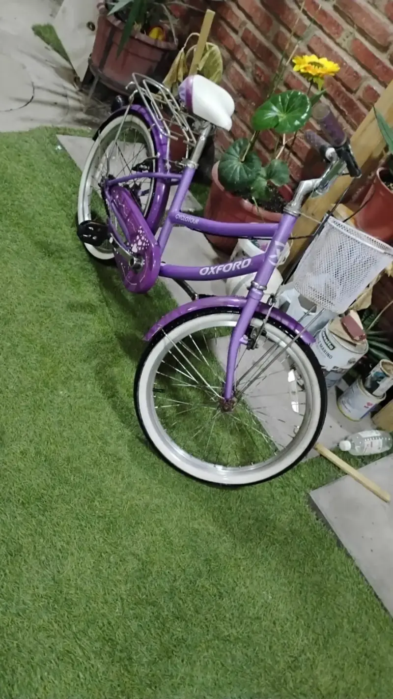 Bicicleta morada con canasto - 3