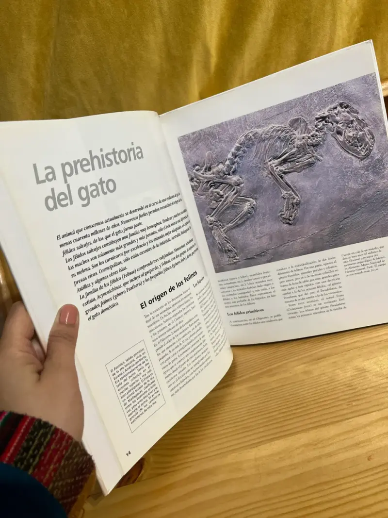 Enciclopedia del gato tomo 1 - 3