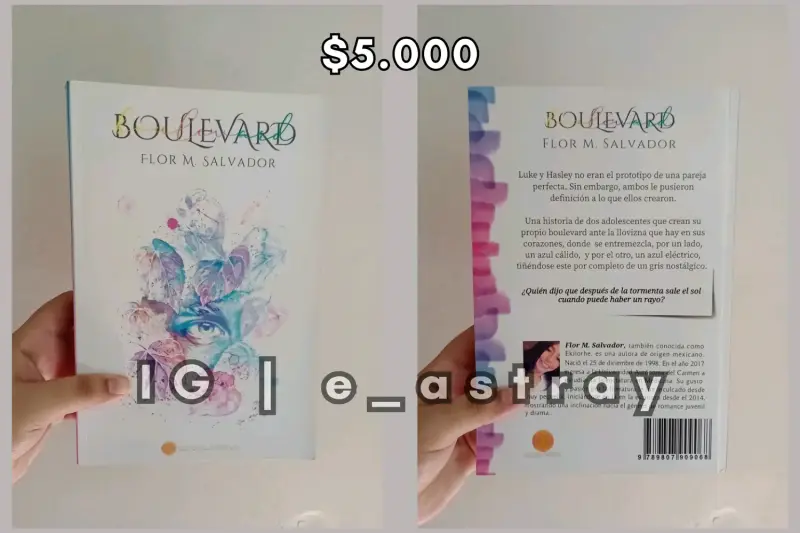 Libro Boulevard (versión anterior - original)