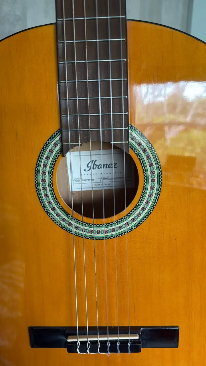Guitarra clásica acústica Ibanez - 5