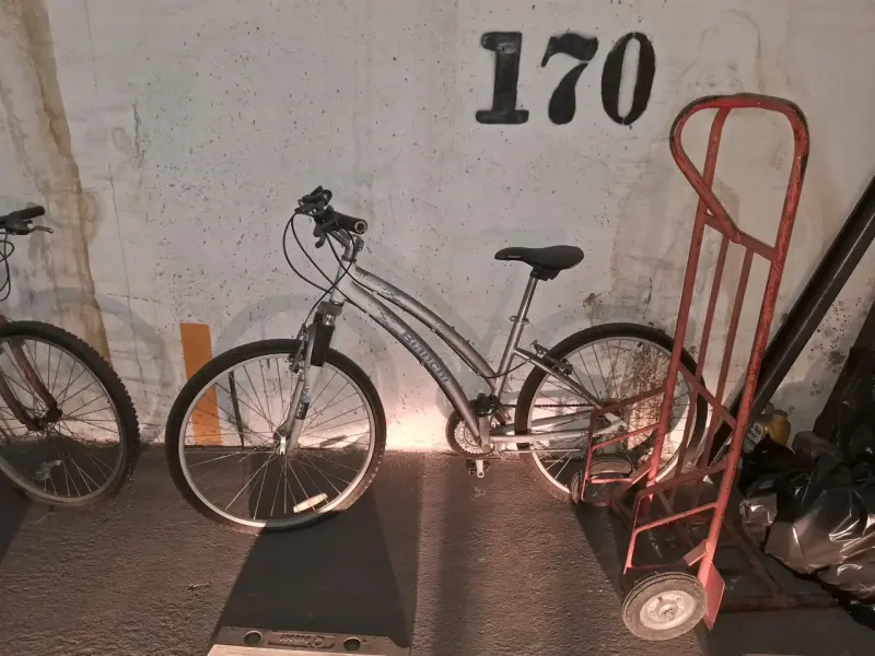 Bicicleta de montaña gris - 1