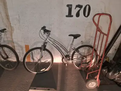 Bicicleta de montaña gris - miniatura 1