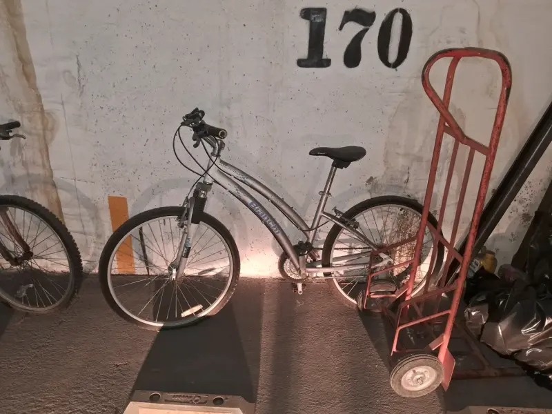 Bicicleta de montaña gris - 2