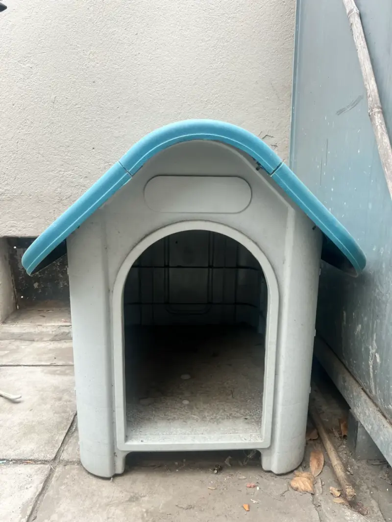 Caseta de perro plastica usada - 2