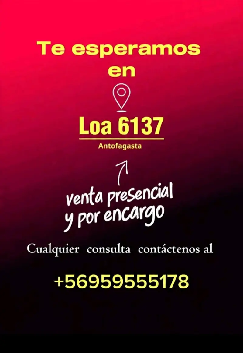 Caja de herramientas 62 pcs - 4