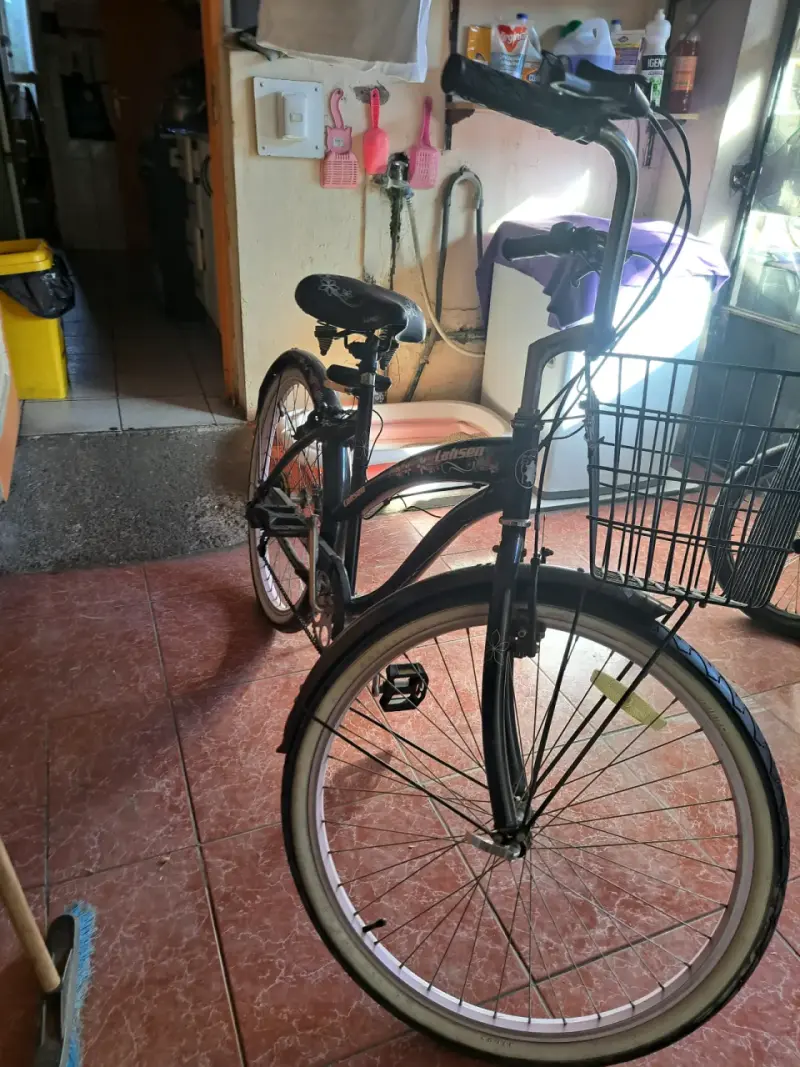 Bicicleta urbana negra con canasto - 3