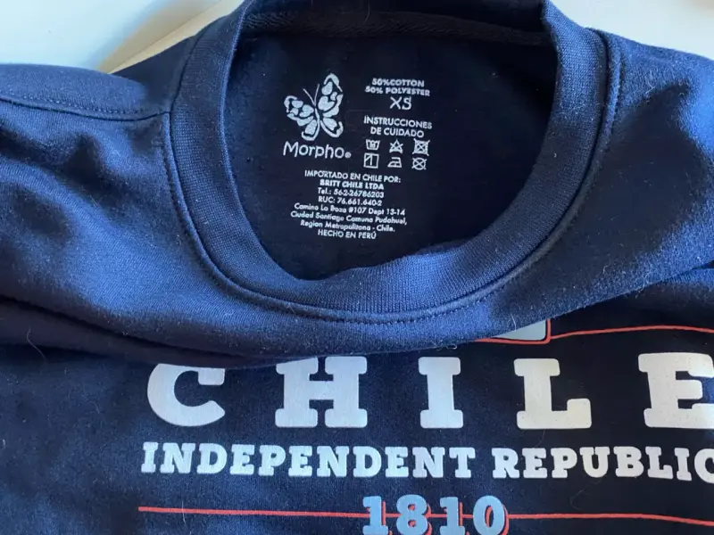 Polerón azul con diseño Chile - 2