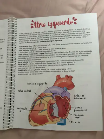 Libro de anatomía fundamental - miniatura 4