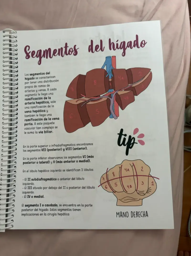 Libro de anatomía fundamental - 5