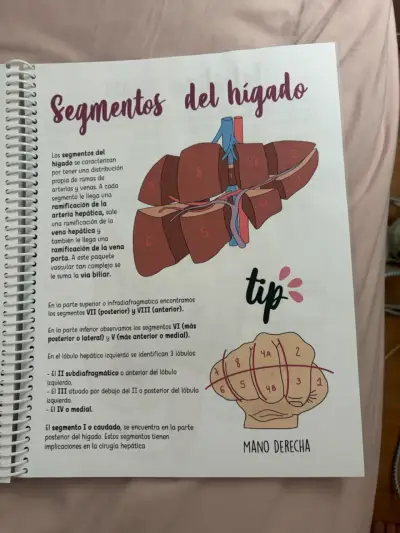 Libro de anatomía fundamental - miniatura 5