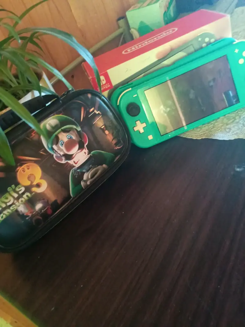 Nintendo Switch lite - 2