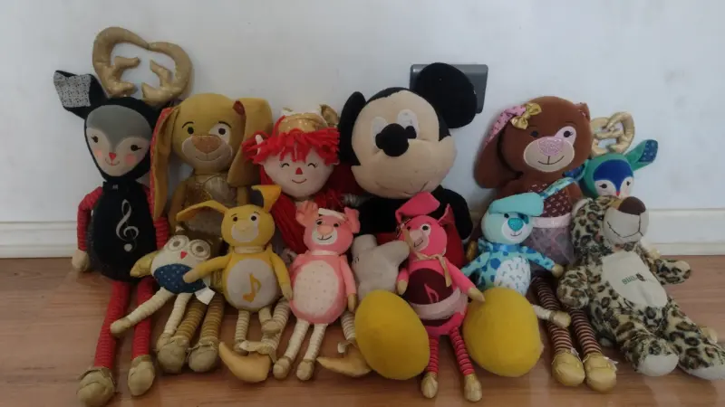 Colección de peluches variados