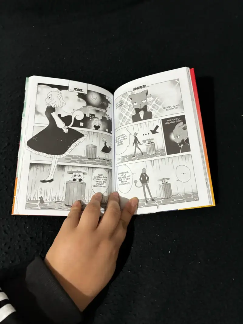 Comic Maestro Gato, Paulinaapc - 2