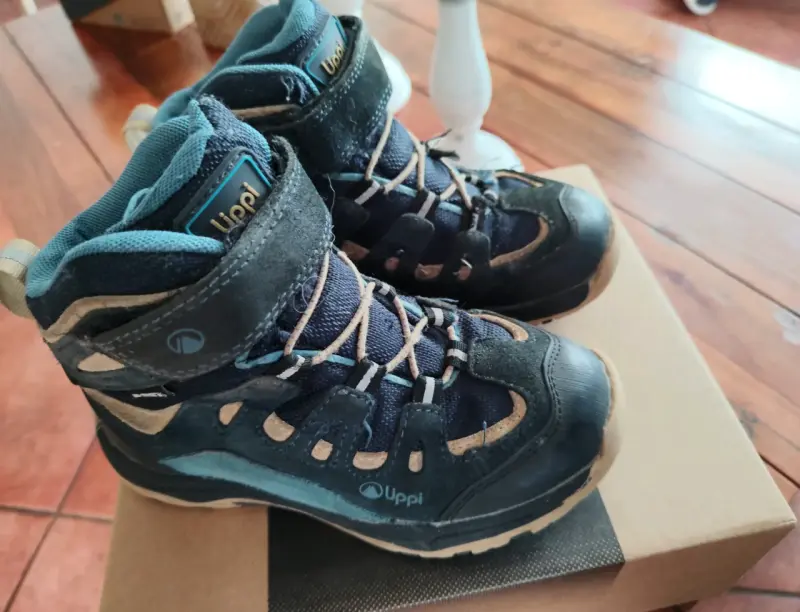Zapatos Lippi