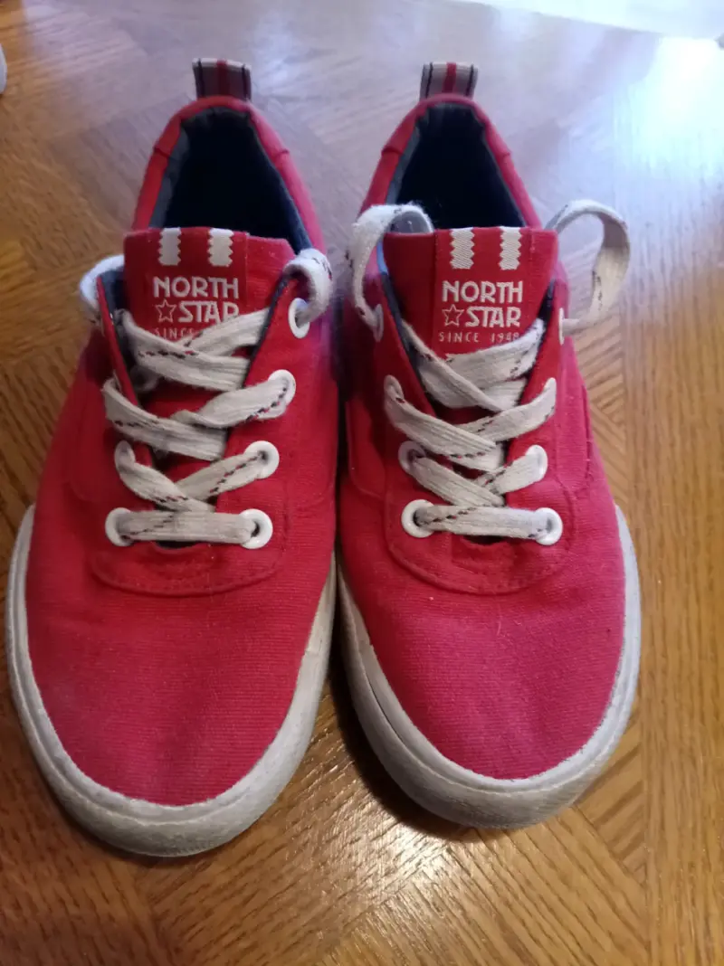Zapatillas north star - 1