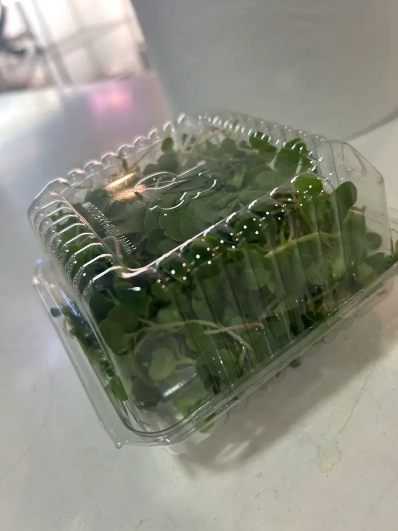 MICROGREENS - 1