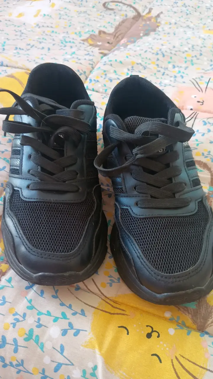 Zapatillas north Star . Número 37 - 2