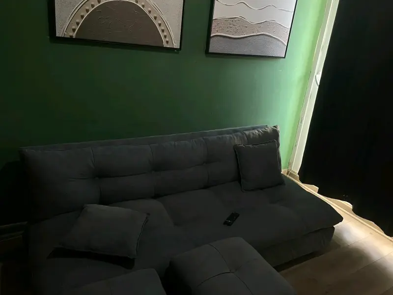 Sofá cama 1 mes y medio de eso - 3