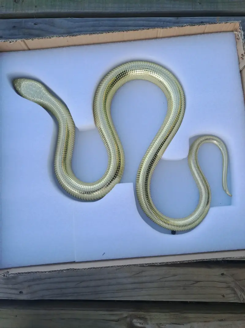 Vendo adorno de pared de serpiente de metal fundid - 4