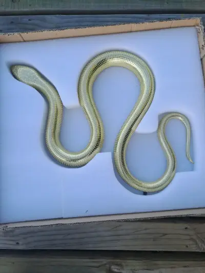 Vendo adorno de pared de serpiente de metal fundid - miniatura 4