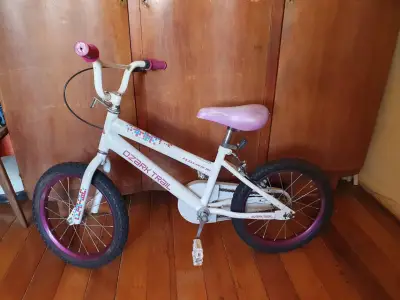 Vendo bicicleta en MAIPU - miniatura 1
