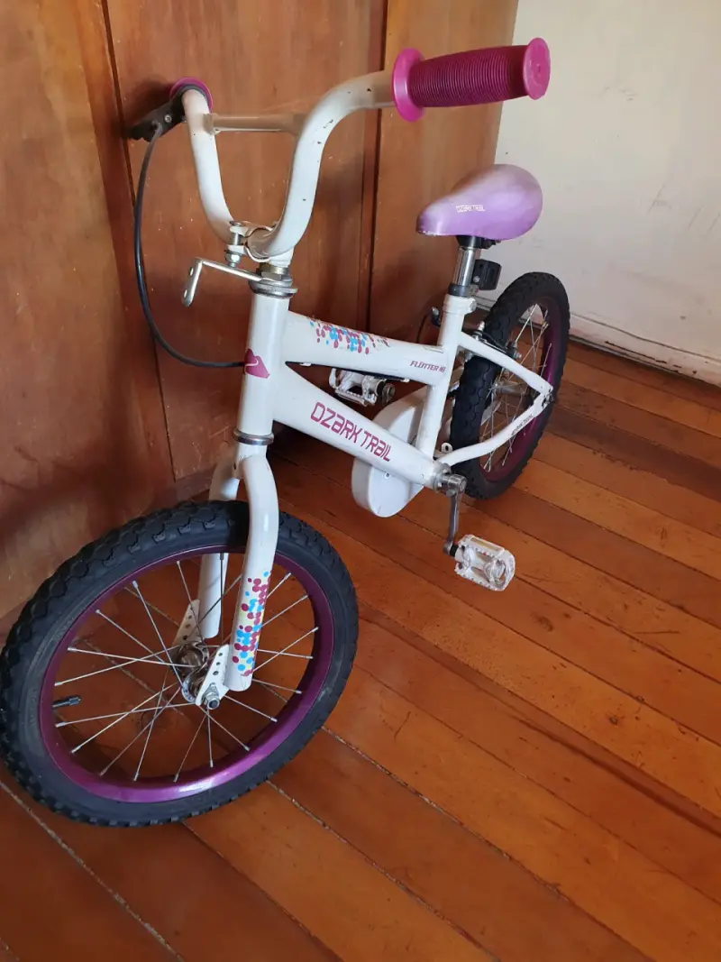 Vendo bicicleta en MAIPU - 2