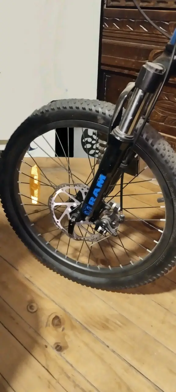 Bicicleta Ram aro 20 - 2