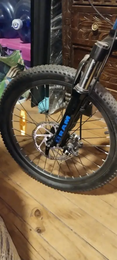 Bicicleta Ram aro 20 - miniatura 3