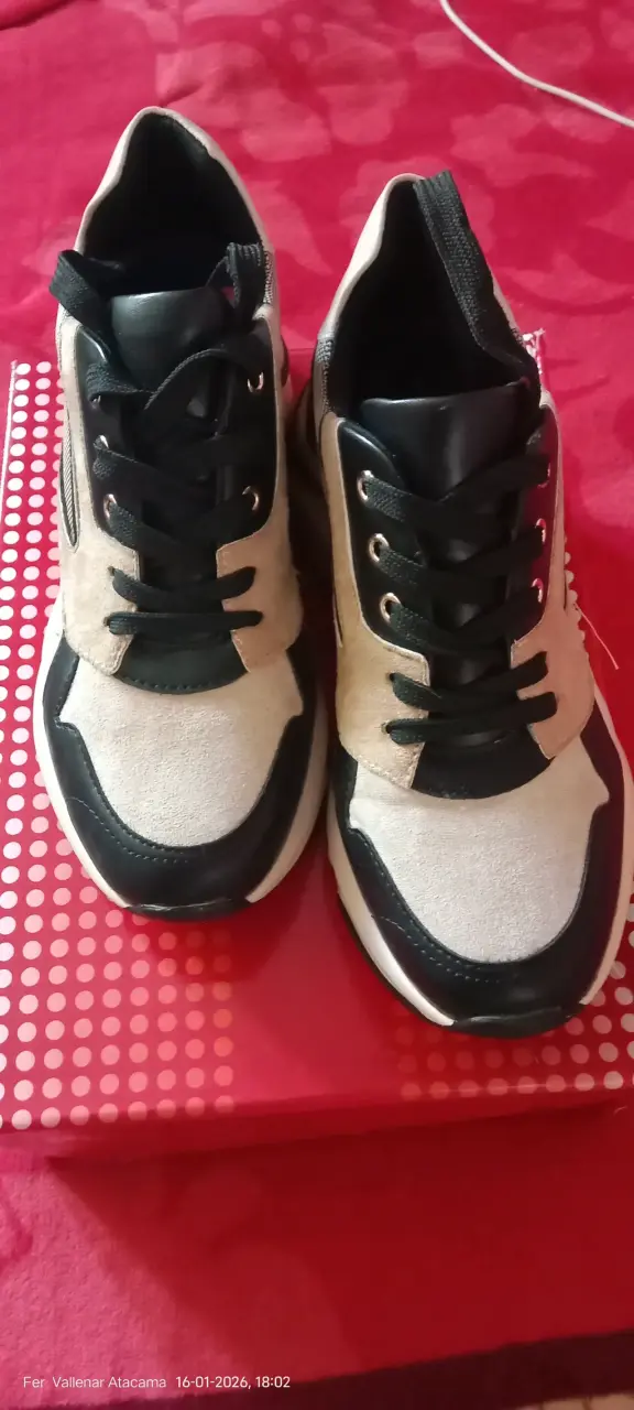 Zapatillas - 2
