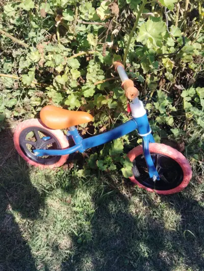 bicicleta de equilibrio aro 12 - miniatura 1