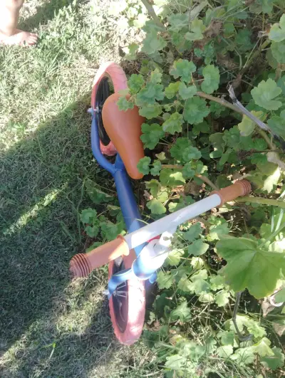 bicicleta de equilibrio aro 12 - miniatura 5
