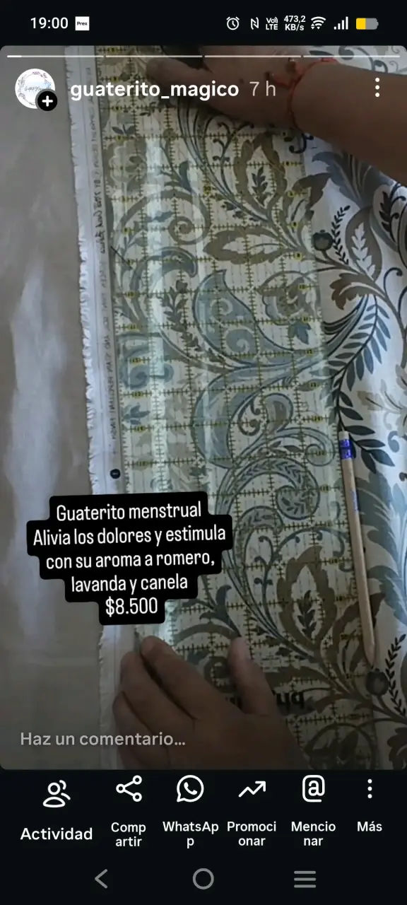 Guateritos de semillas