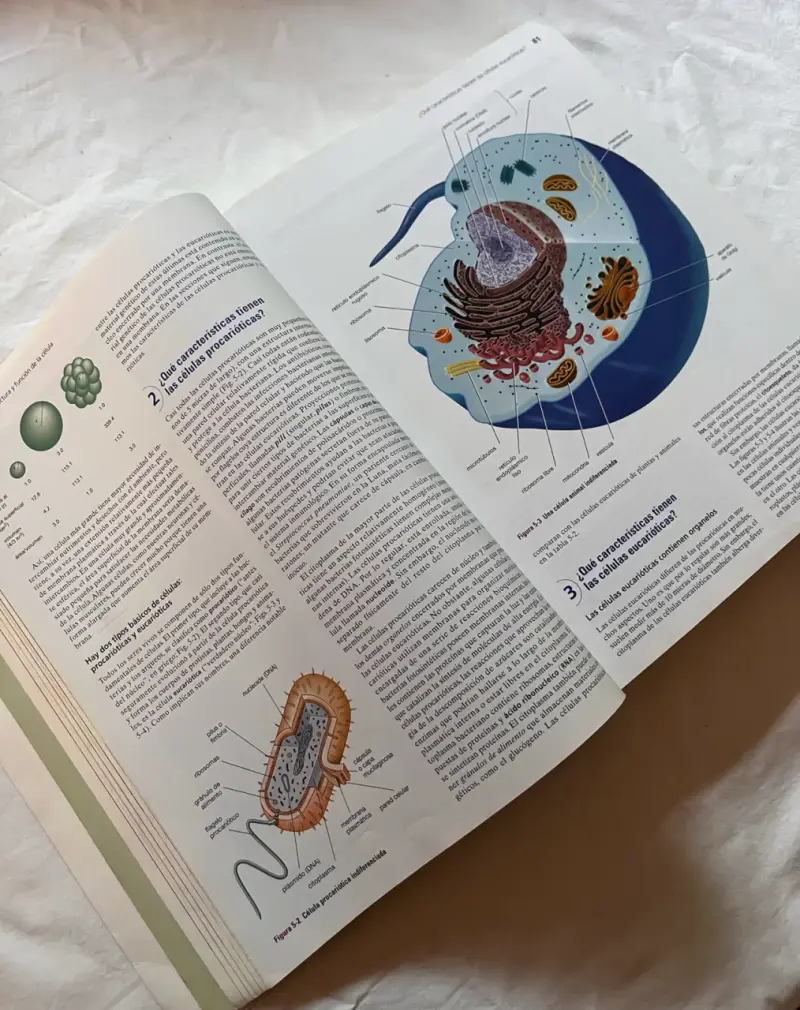 Libro Biología: La vida en la tierra - 4