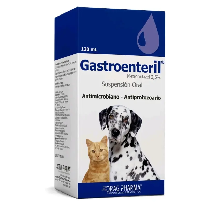 Gastroenteril
