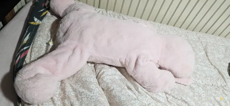 Peluche perro rosado - 2