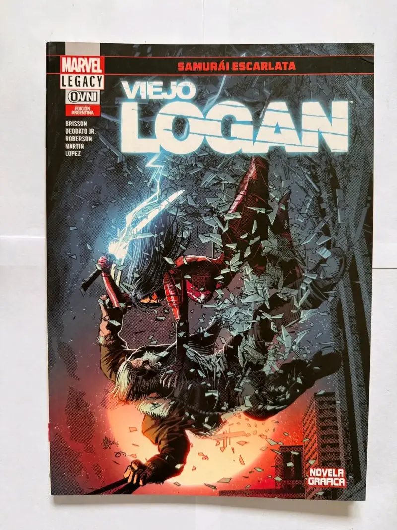Viejo Logan - 3