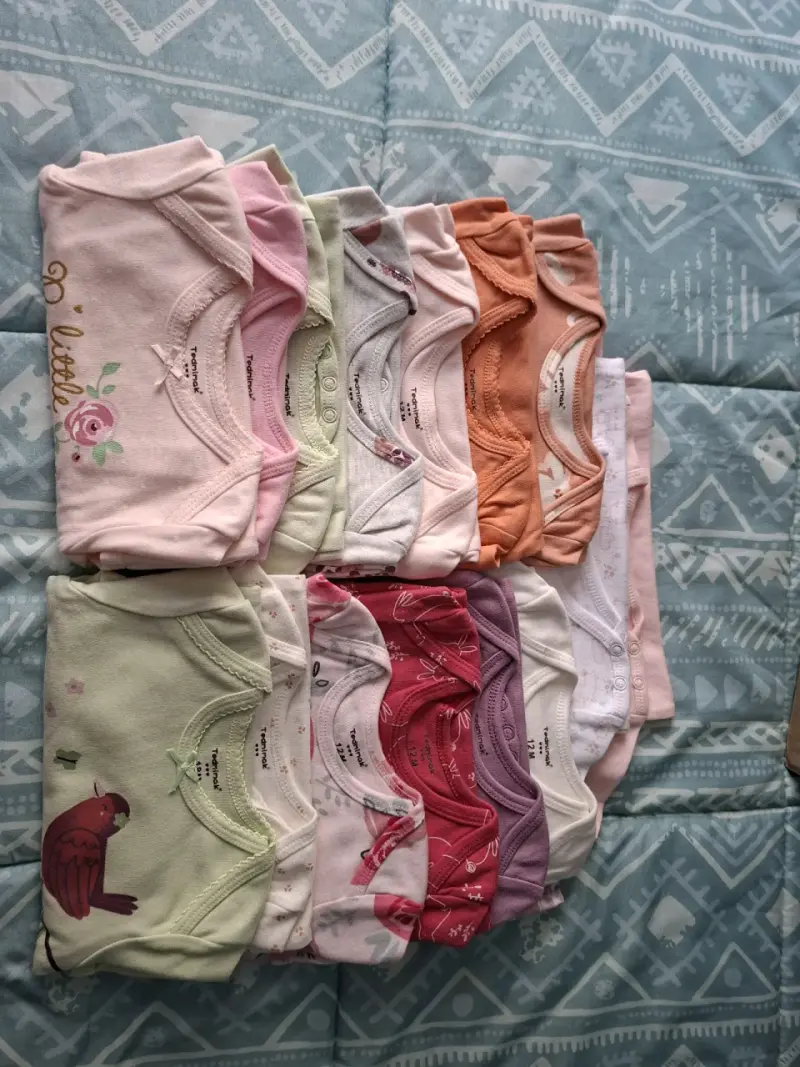 Bodys manga larga 12 meses