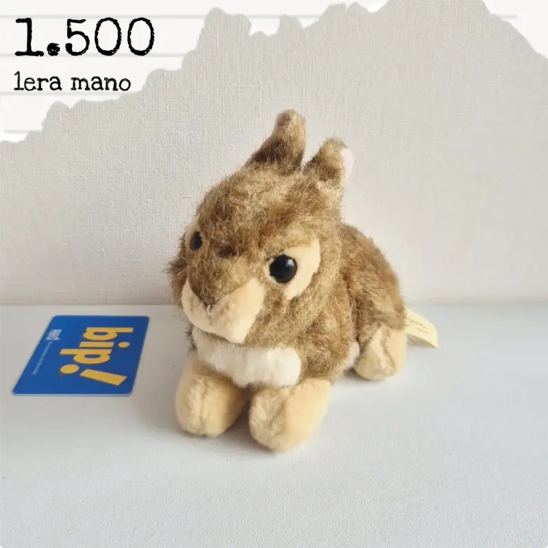 Conejito de peluche - 1