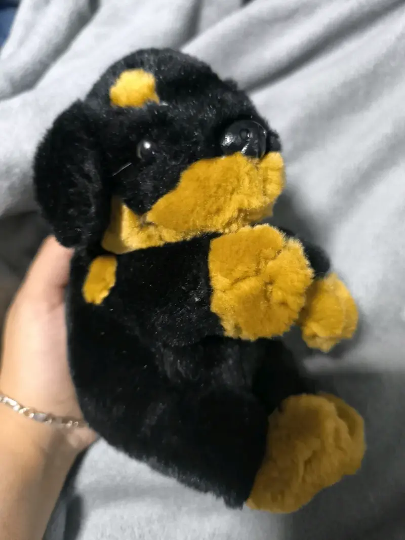 Peluche - 1