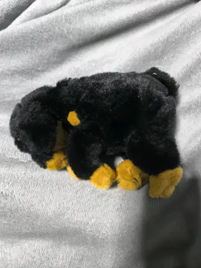 Peluche - miniatura 2