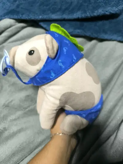Chanchito falabella - miniatura 3