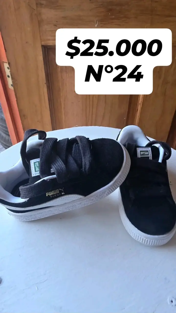 Zapatillas n°24