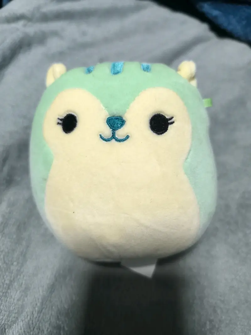 Ardilla Squishmellow - 1