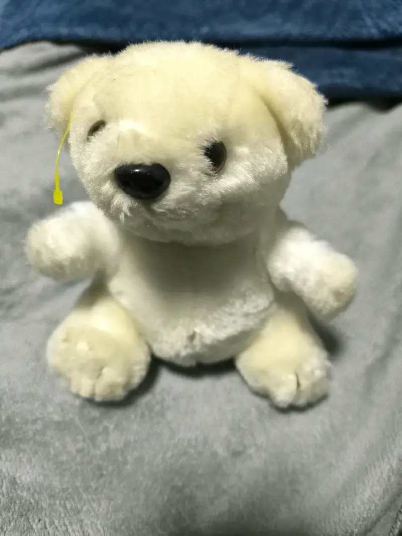 Oso polar - 1
