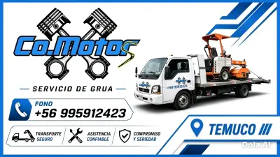 Grua temuco - miniatura 2
