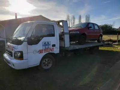 Grua temuco - miniatura 5