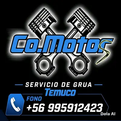 Grua temuco - miniatura 6