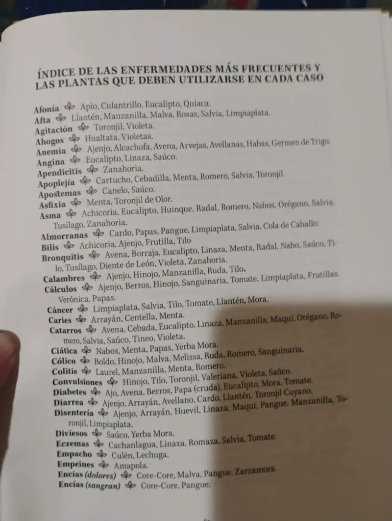 LIBRO " PLANTAS MEDICINALES Y ALIMENTICIAS DE CHIL - 2