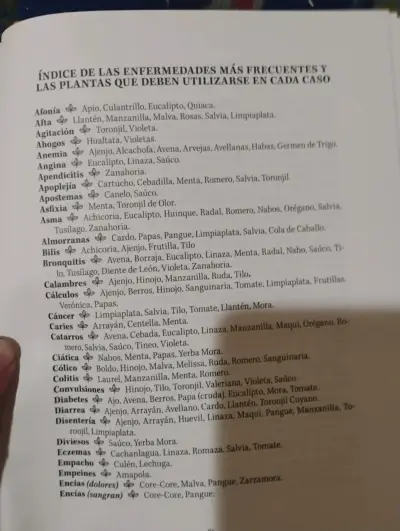LIBRO " PLANTAS MEDICINALES Y ALIMENTICIAS DE CHIL - miniatura 2