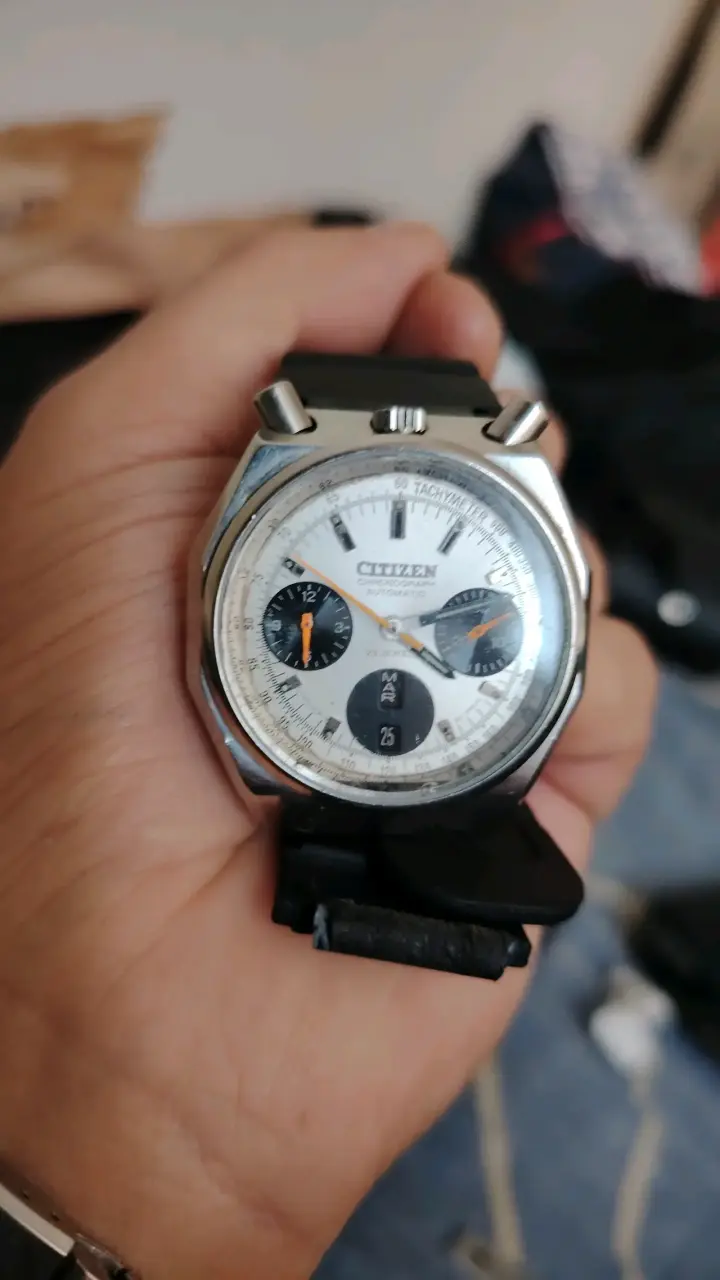 Citizen bullhead panda octagon